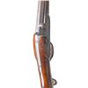 Image 8 : PUBLISHED HAWKEN PLAINS RIFLE.