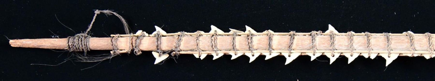 VINTAGE HAWAIIAN OR POLYNESIAN SHARK TOOTH SWORD. - Poulin Auctions