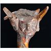 Image 3 : PENOBSCOT TRIBE CARVED FIGURAL WAR CLUB.
