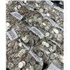 Image 6 : Bag of Almost Mint 90% Silver 1964 JFK $100 Face