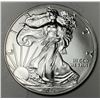 Image 1 : 2021 American Silver Eagle