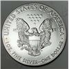 Image 2 : 2021 American Silver Eagle