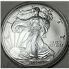 Image 1 : 2020 American Silver Eagle
