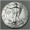 Image 1 : 2021 American Silver Eagle