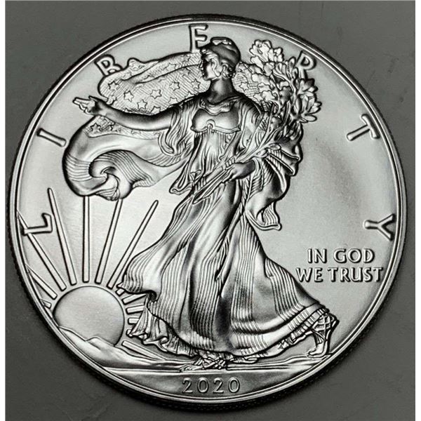 2020 American Silver Eagle