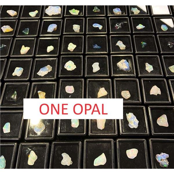 3.75 Carat Natural Vibrant Opal