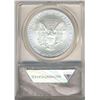 Image 4 : 2008 American Silver Eagle ANACS MS70 First Strike Coin