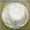 Image 1 : 2006 American Silver Eagle MS70