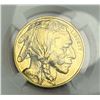 Image 3 : 2010 American Buffalo .9999 Gold $50 NGC MS70 Early Releases