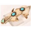 Image 2 : Coyote Skull with Turquoise [181738]