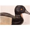 Image 2 : Greater Scaup Bluebill Decoy by D. Hodgman [181814]