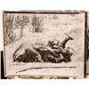 Image 3 : Old West Silent Movie Photos (50) [180938]
