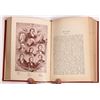 Image 2 : European Royalty & High Society Book Group (4)  [150290]