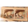 Image 2 : Religious Stereoview Cards c1897-1900s [179707]