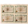 Image 1 : American Mining Investment Co. Stocks, 1900, 4 Rare [179383]