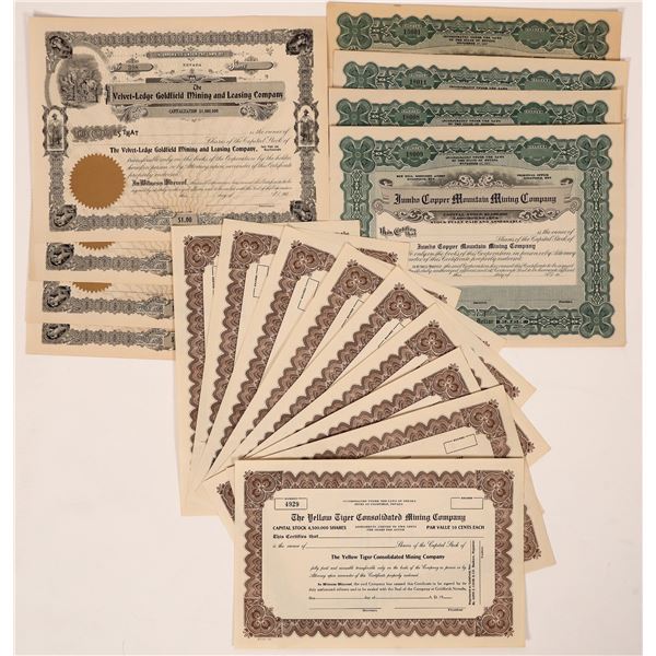 Goldfield Unissued Mining Stocks, 25 [180604]