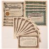 Image 1 : Goldfield Unissued Mining Stocks, 25 [180604]