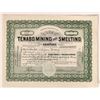 Image 1 : Tenabo Mining and Smelting Stock 1910 [180826]