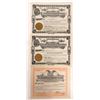 Image 1 : Alta, Utah Stock Certs (3) [178671]