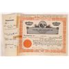 Image 1 : Victor Ario Saddlery Company Stock Certificate, Rare!  1956 [178417]