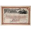 Image 1 : Duquesne Traction Co Stock 1893 1 cert [176014]