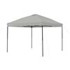 Image 2 : 10' x 10' Simple Push Instant Canopy new in box