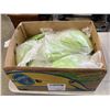 Image 1 : BOX OF NEW SIZE SMALL RUBBER GLOVES