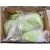 Image 2 : BOX OF NEW SIZE SMALL RUBBER GLOVES