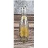 Image 2 : Pepsi Cola Paper Label Double Dot Logo Bottle