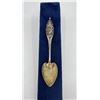 Image 1 : Daughters of the American Revolution Spoon