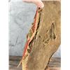 Image 8 : Osage Native American Indian Buffalo Hide Shield