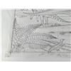 Image 2 : Monte Dolack Dinosaurs Discoveries Poster Study