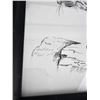 Image 2 : Robert Skinner Bobcat Print