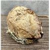 Image 2 : Druzy Agate Geode