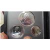 Image 8 : 1980 RCM Doble Dollar Coin Set