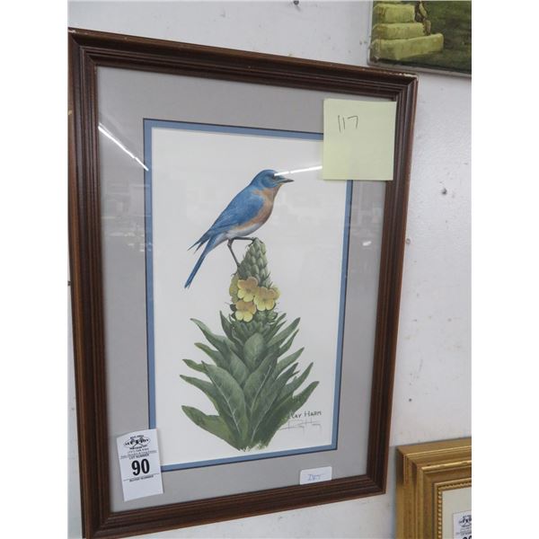 Framed Audubon Wall Art - Signed Harm - 15 X 20