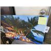 Image 1 : Framed Beach Backyard Photo - 15 X 23
