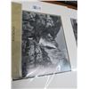Image 2 : Unframed Yellowstone and Grand Canyon Photos - 3
