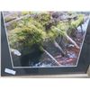 Image 2 : Framed Photos Tropical Store Front, River