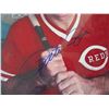 Image 2 : Pete Rose Autographed Photo w/COA