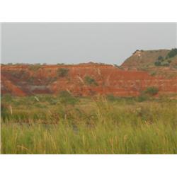 700 +/- acres of outstanding wildlife and ranch land