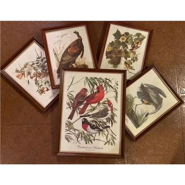 Birds Art Prints 13 x 10