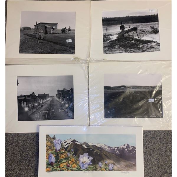 Alpine Meadows by Sandra Greba & Portraits by Ernest Brown