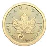 Image 2 : 2023 Royal Canadian Mint $5 Gold Polar Bear First Strike Gold Coin. .9999 Fine Gold. 1/10oz. Investm