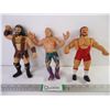 Image 1 : (3) WWF Wrestling Figures-Ted Arcidi, Jake "The Snake" Roberts and Hercules Hernandez