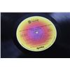 Image 9 : (3) Vinyl Records - Three Dog Night - Steppenwolf