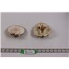 Image 1 : (2) Sea Shell Ornaments