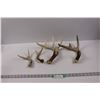 Image 1 : (4) Deer Sheds