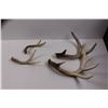 Image 3 : (4) Deer Sheds