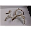 Image 5 : (4) Deer Sheds
